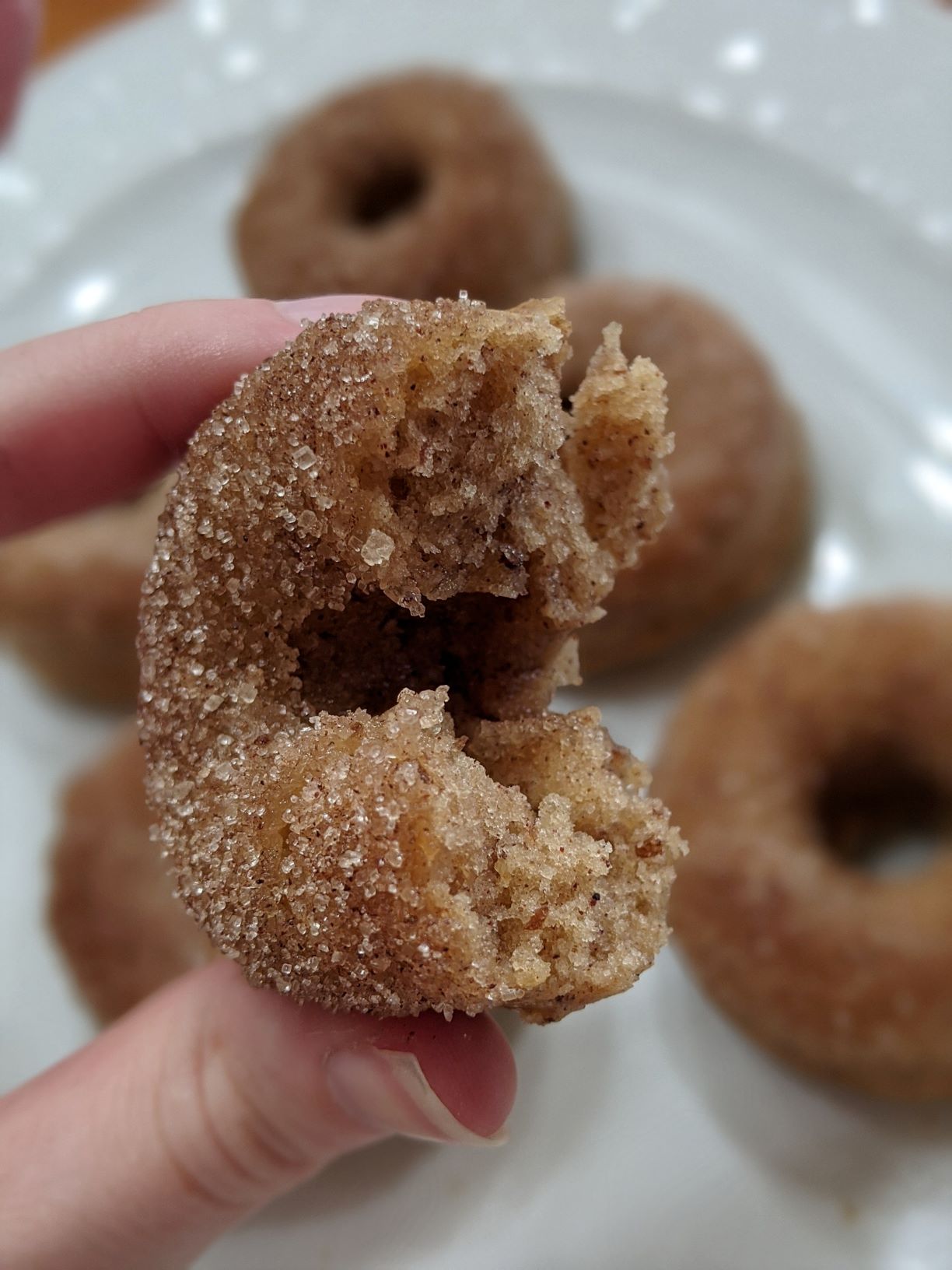 Apple Cider Donuts Texture